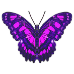 Butterfliestry