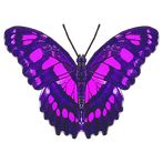 Butterfliestry
