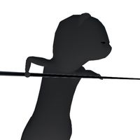 Ferret's pool billiards