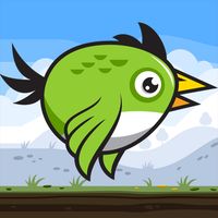 Speedy Bird Game