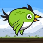 Speedy Bird Game