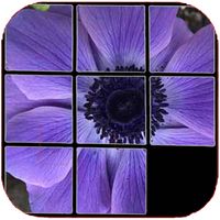 Flowers puzzle, one is hidden.