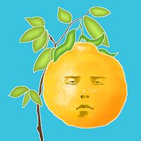 Tree of face fruit