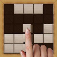 Wood Block Puzzle Classic