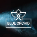 Blue Orchid: Interactive Story