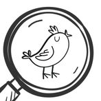 Hidden Birds