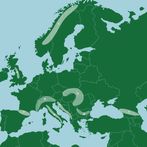 Cordilleras de Europa Juego