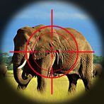 Wild Hunting Shooting Game