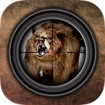 Virtual Hunting : Bear