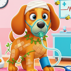 Fluffy Pet Doctor Vet Hospital