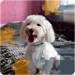 Jigsaw Image Puzzles