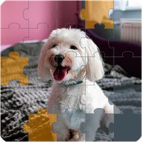 Jigsaw Image Puzzles