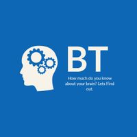 Brain Test