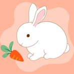 Rabbit Memory