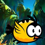 Yellow Bird Adventure