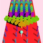 Domino Bump 3D - Free Hyper Ca