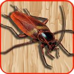 Serbuan Serangga Dan Kecoa