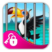 Gleeful Toucan Bird Escape