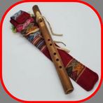 Draw Your American Flute