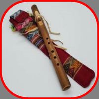 Draw Your American Flute