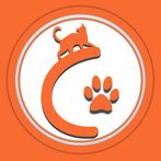 CATcher - Lovely Cat