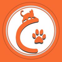 CATcher - Lovely Cat