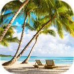Brain game - Memory training -