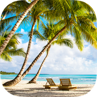 Brain game - Memory training -