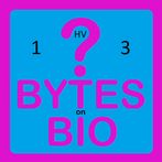 BoB Quiz 1HV3
