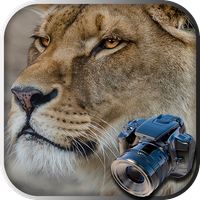 Hidden Animals: Photo Hunt