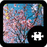 Spring Jigsaw Puzzle