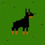 Beta the Shepherd Dog