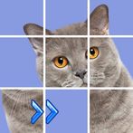 Puzzles slide. Jigsaw block