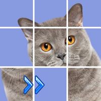 Puzzles slide. Jigsaw block