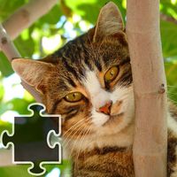 Kittens Jigsaw Puzzle