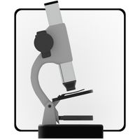 Journey Through Endoplasmic Re