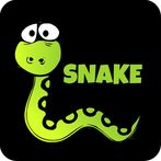SNAKE  EXPERIENCE 2020