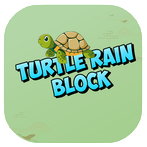 Turtle Rain Block