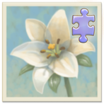 Inner Garden: Victorian Houses