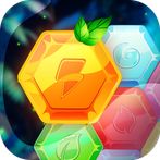 Block Puzzle Junglee