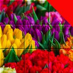 Jigsaw Flower & Plant Puzzles