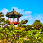 Trip to Korea: Driving Game