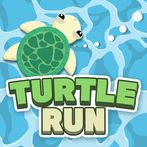 Turtle Run