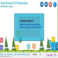 CramFLASH Real Estate Agent Ex