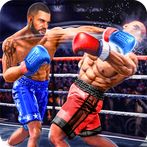 Real Shoot Boxing Tournament