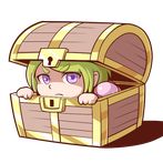 Stealth knight