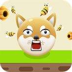 Save the dog: Draw guard