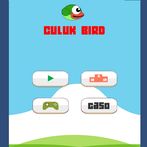Culuk Bird