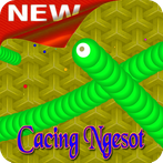 New Classic Snake Worm offline