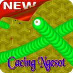 New Classic Snake Worm offline